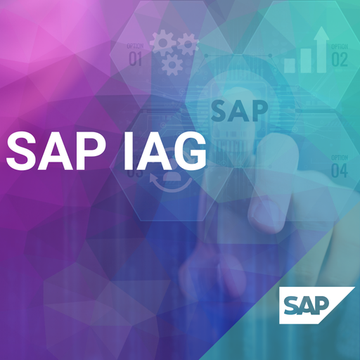 SAP IAG Integration with GRC